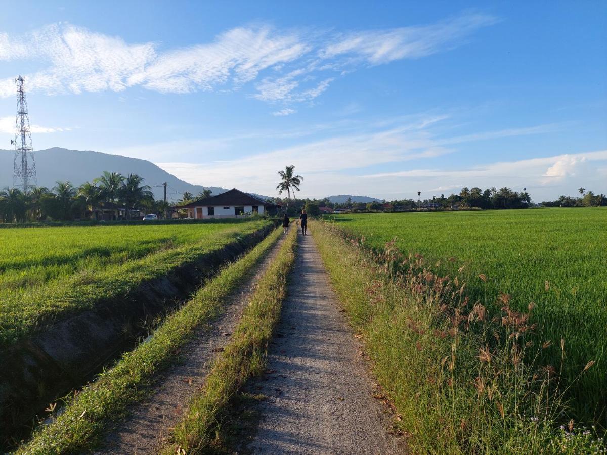 Jerai Geopark Cottage 2Bedrooms Pulau Bidan Yan Exteriér fotografie